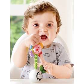 HAPE Погремушка Светящийся цветок E0133_HP