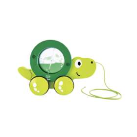 Детская каталка "Тито" Черепашка E0354_HP