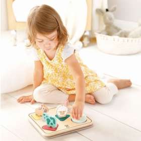 Игрушка развивающая "Сортер" учим цвета и домашних животных E8536_HP